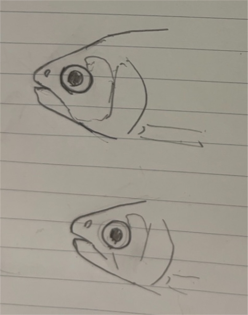 f:id:osio-gomizo:20241106100848j:image