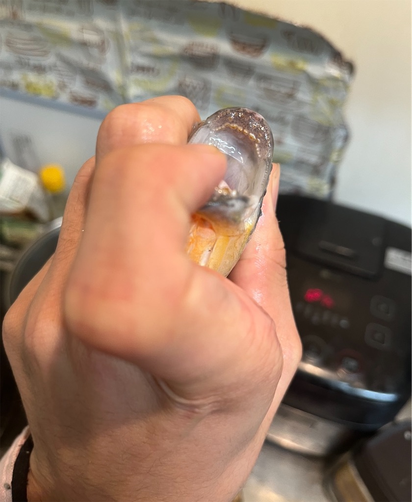 f:id:osio-gomizo:20241228223903j:image