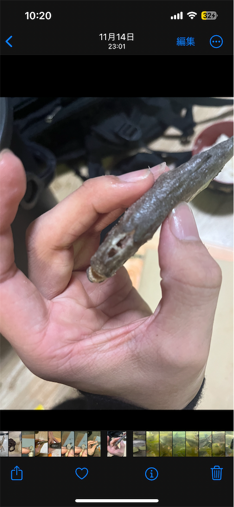 f:id:osio-gomizo:20241228223915p:image