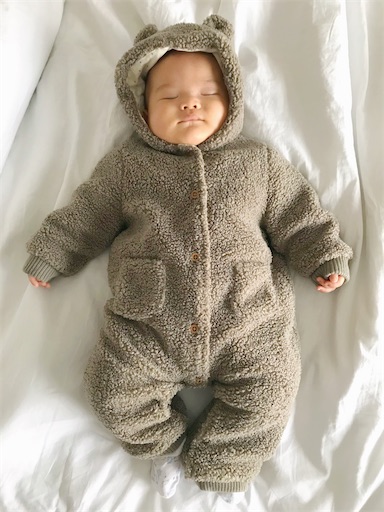 f:id:ositina:20201124064425j:image
