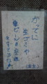 画像で何かを受信