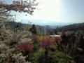 20120428163017