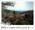 20120428163058