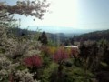 20120428163059