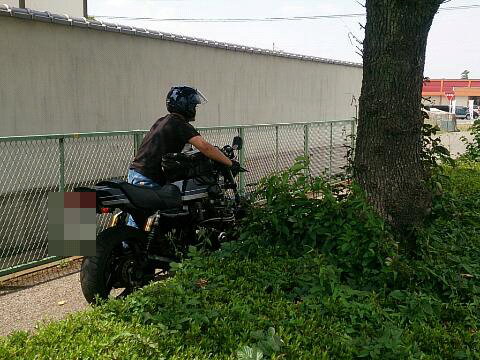 イメージ 4