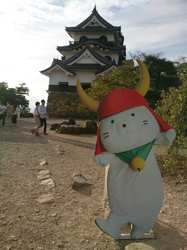 イメージ 8