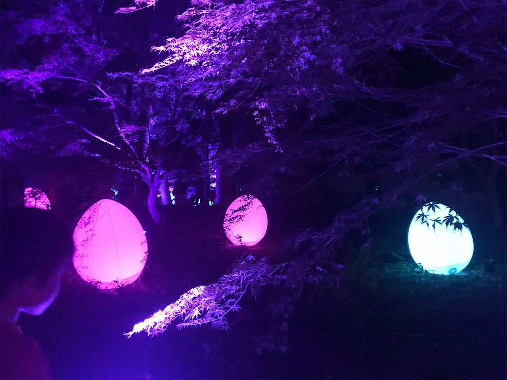 f:id:osoranotaiyou:20190822022017j:image f:id:osoranotaiyou:20190822022017j:image