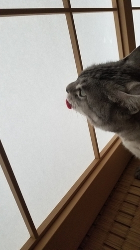 おそらさん