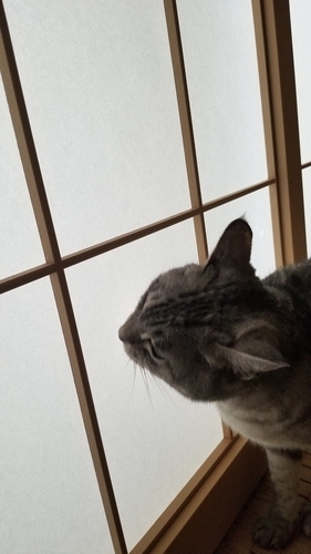 おそらさん