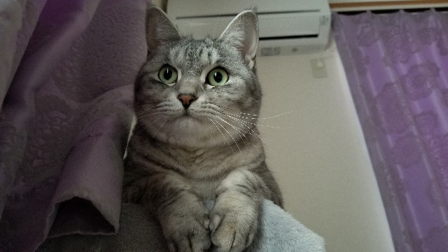 f:id:osorasan:20211231190748j:image