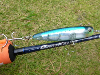 P1010267.jpg