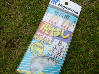 P1010270.jpg