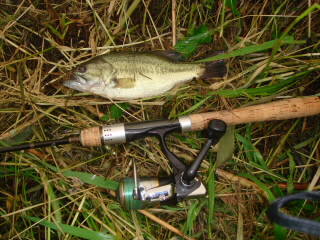 DSC02186.jpg