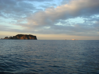 DSC03137.jpg