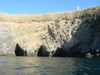 DSC03150.jpg