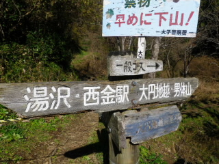 IMGP0559.jpg