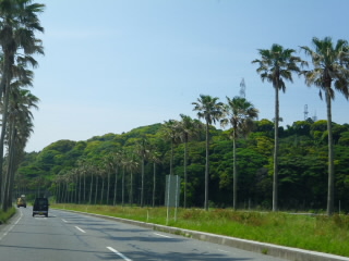 IMGP1459.jpg