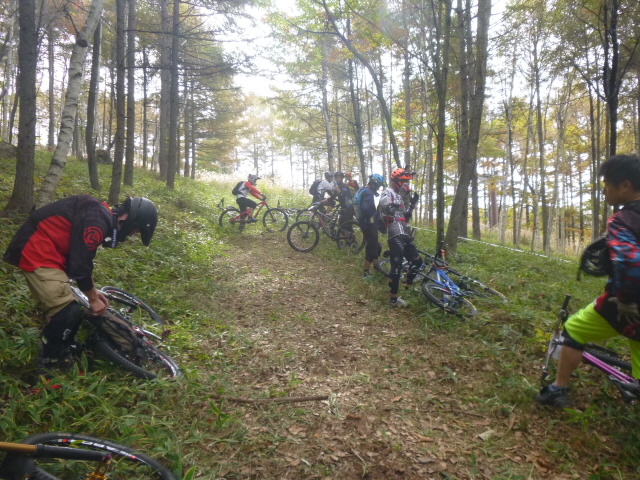 P1040653.jpg