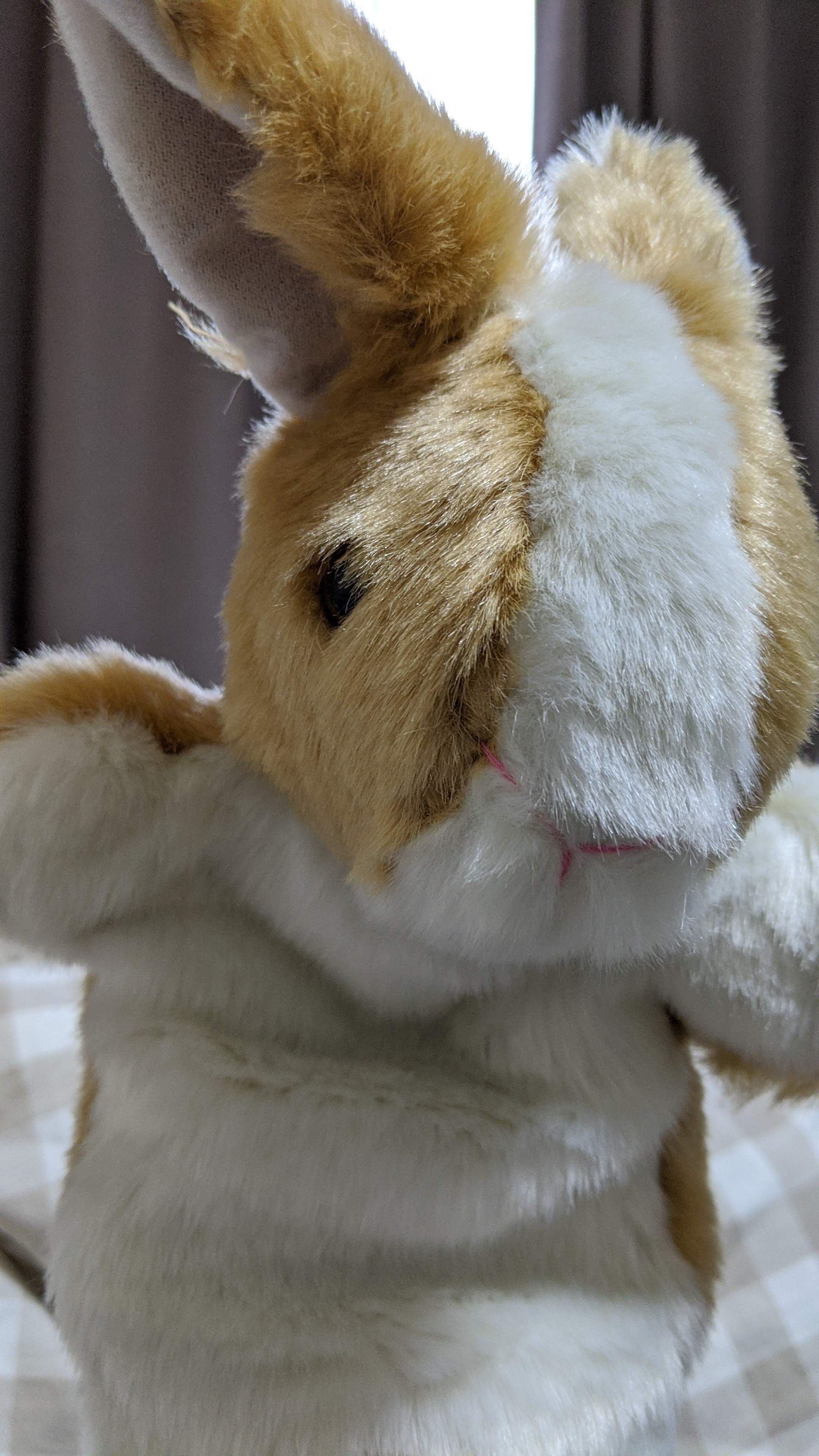f:id:osouonna:20200403002218j:image:w300