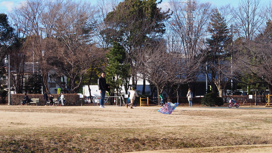 f:id:ossan-nyanko:20180101195811p:plain f:id:ossan-nyanko:20180101195811p:plain