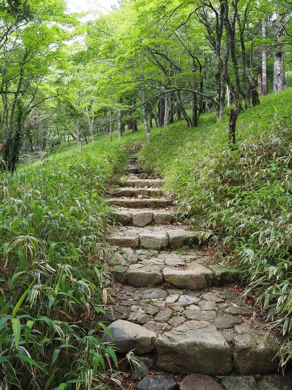 f:id:ossan010:20190715204619j:plain f:id:ossan010:20190715204619j:plain