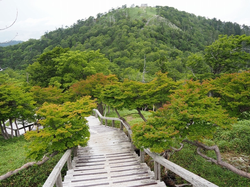 f:id:ossan010:20190715204717j:plain f:id:ossan010:20190715204717j:plain