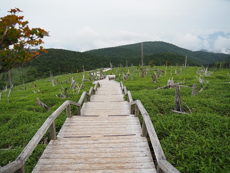 f:id:ossan010:20190715204802j:plain