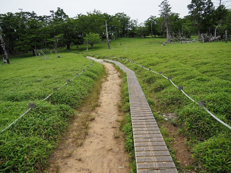 f:id:ossan010:20190715204832j:plain f:id:ossan010:20190715204832j:plain
