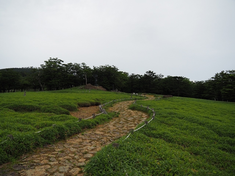 f:id:ossan010:20190715204859j:plain f:id:ossan010:20190715204859j:plain
