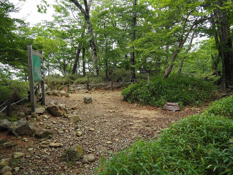 f:id:ossan010:20190715204921j:plain f:id:ossan010:20190715204921j:plain