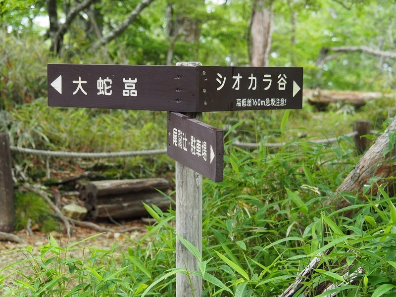 f:id:ossan010:20190715204932j:plain f:id:ossan010:20190715204932j:plain