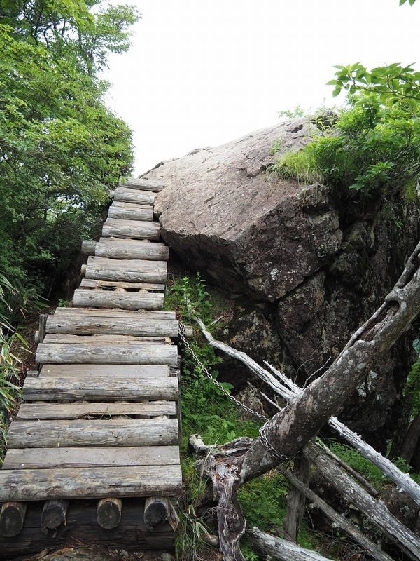 f:id:ossan010:20190715204946j:plain f:id:ossan010:20190715204946j:plain