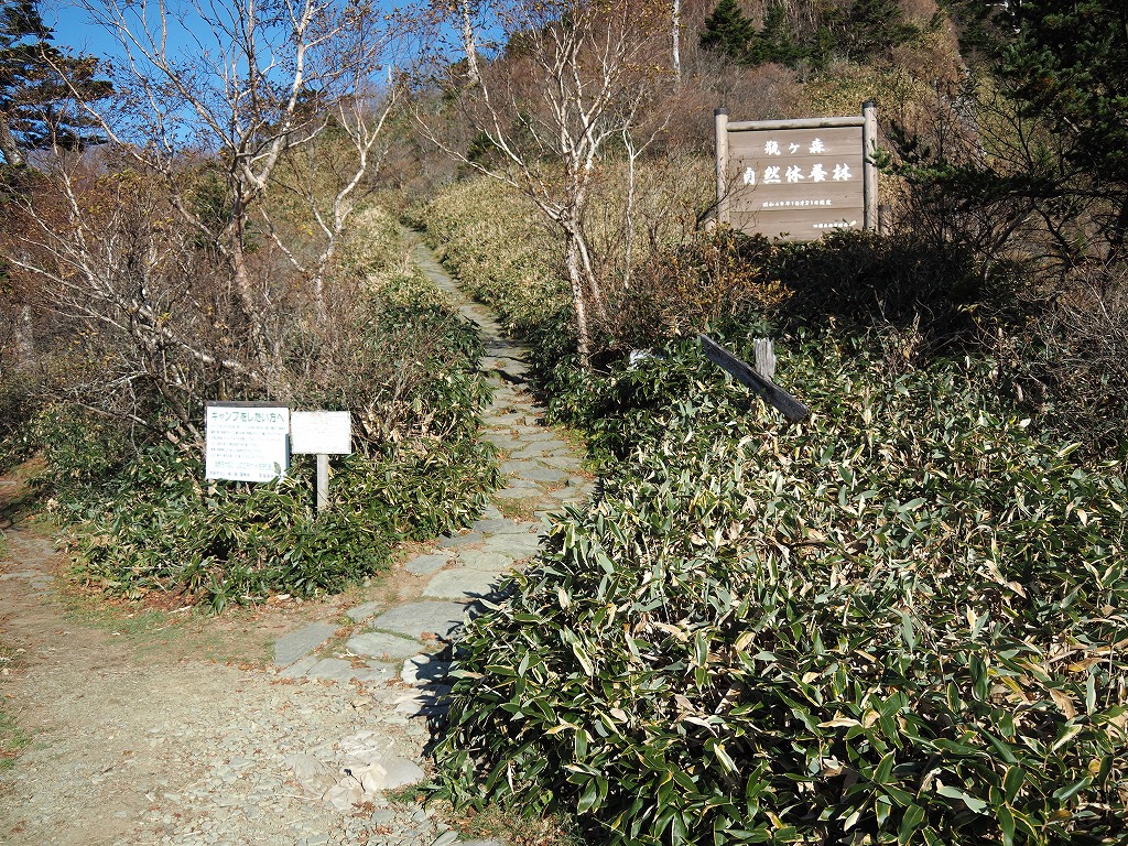 f:id:ossan010:20191108214140j:plain f:id:ossan010:20191108214140j:plain