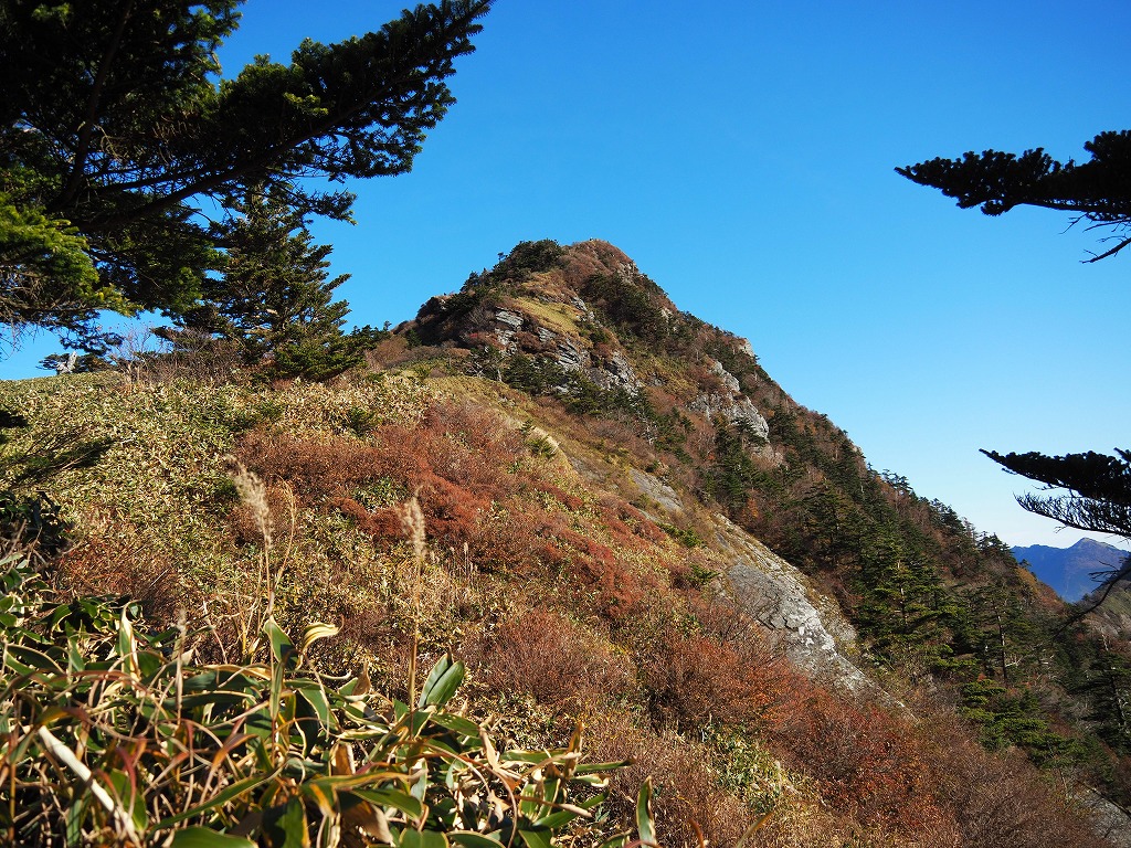 f:id:ossan010:20191108214205j:plain f:id:ossan010:20191108214205j:plain