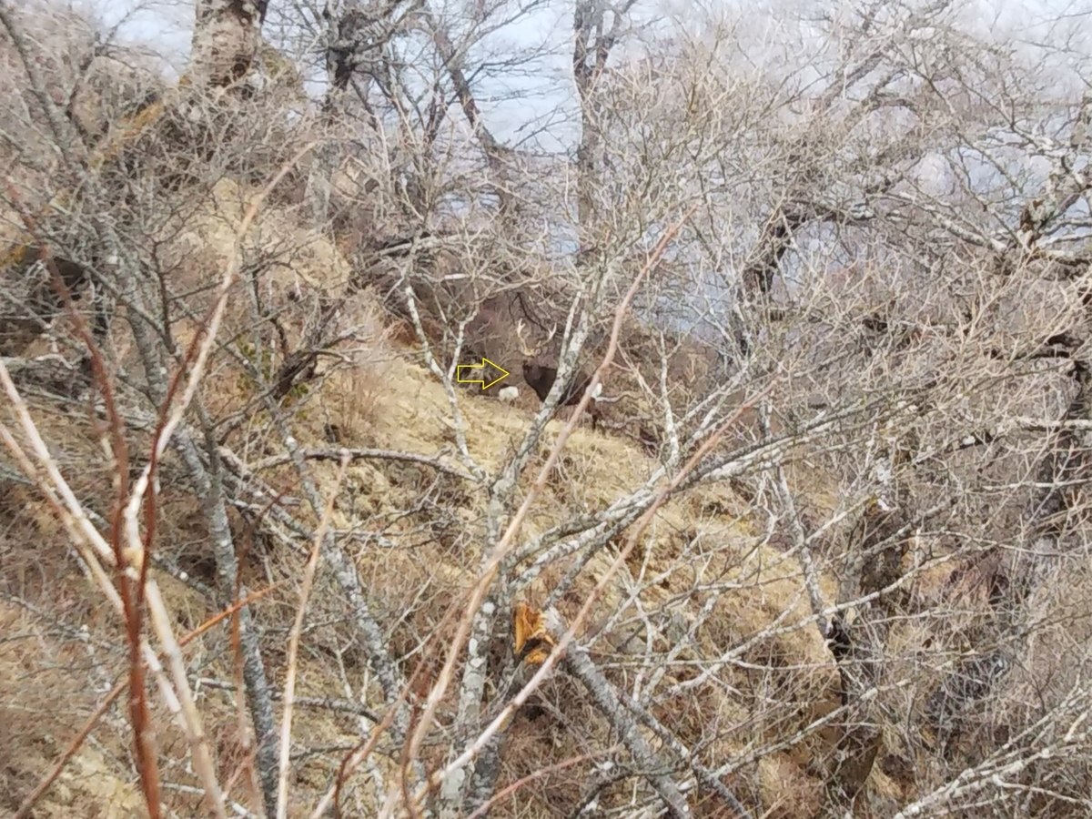 f:id:ossan54:20190330200842j:plain f:id:ossan54:20190330200842j:plain