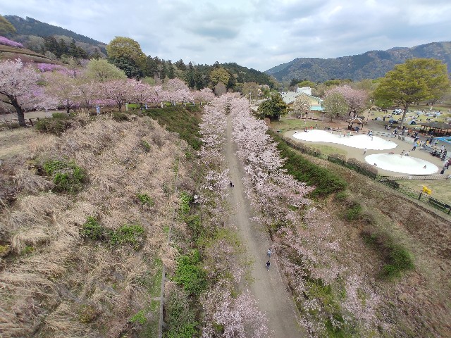 f:id:ossanlife:20230403070133j:image