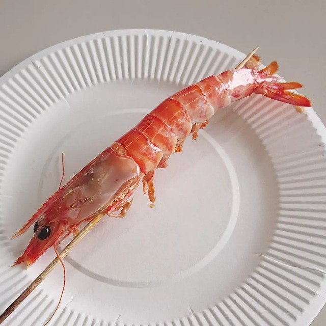 クルマエビ見学 - 釣り好き食いしん坊が島に移住する話