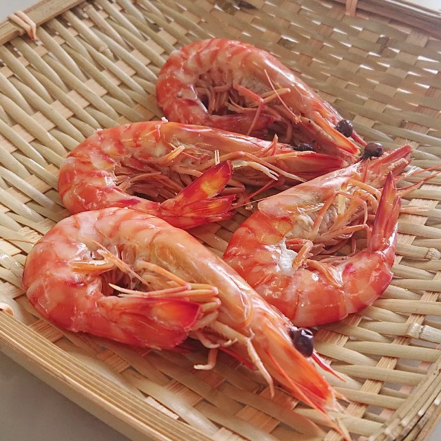 クルマエビ見学 - 釣り好き食いしん坊が島に移住する話