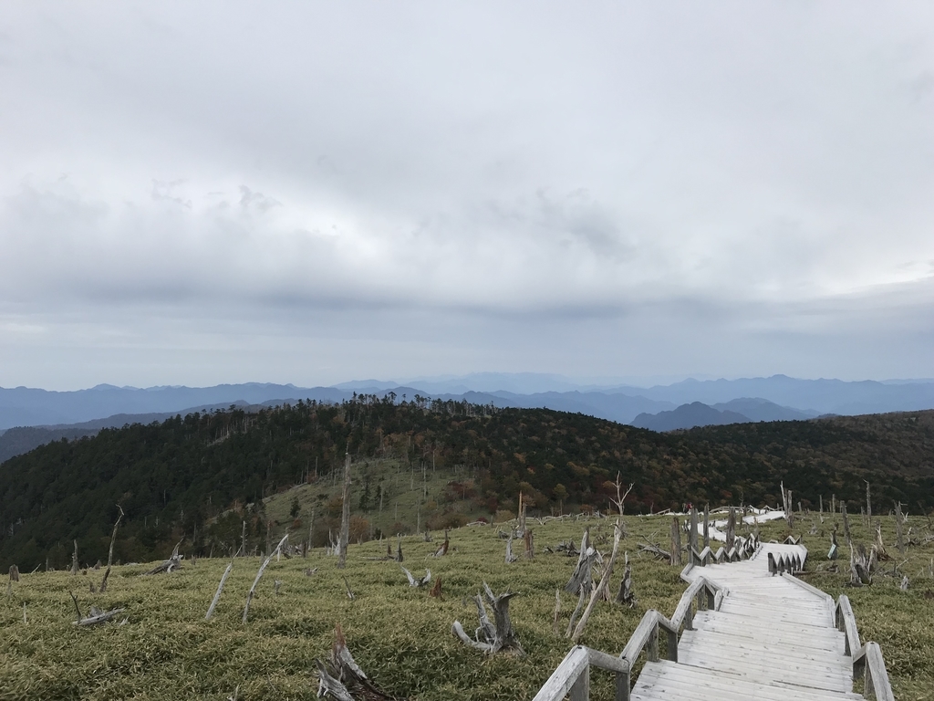 f:id:ossantozan:20181207134801j:plain