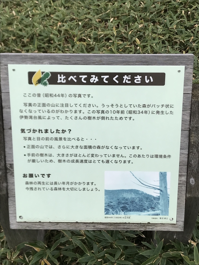 f:id:ossantozan:20181207135342j:plain