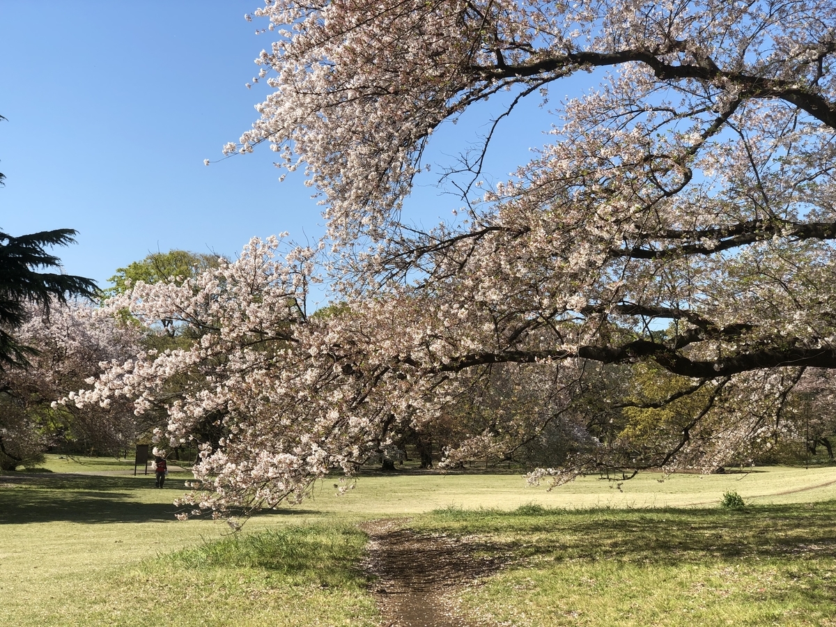 f:id:osshi-t:20190413092134j:plain f:id:osshi-t:20190413092134j:plain