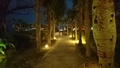 20190403200657