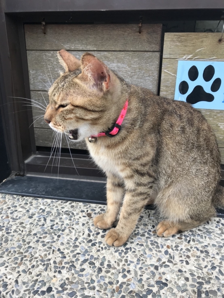 f:id:osty:20180818181651j:plain