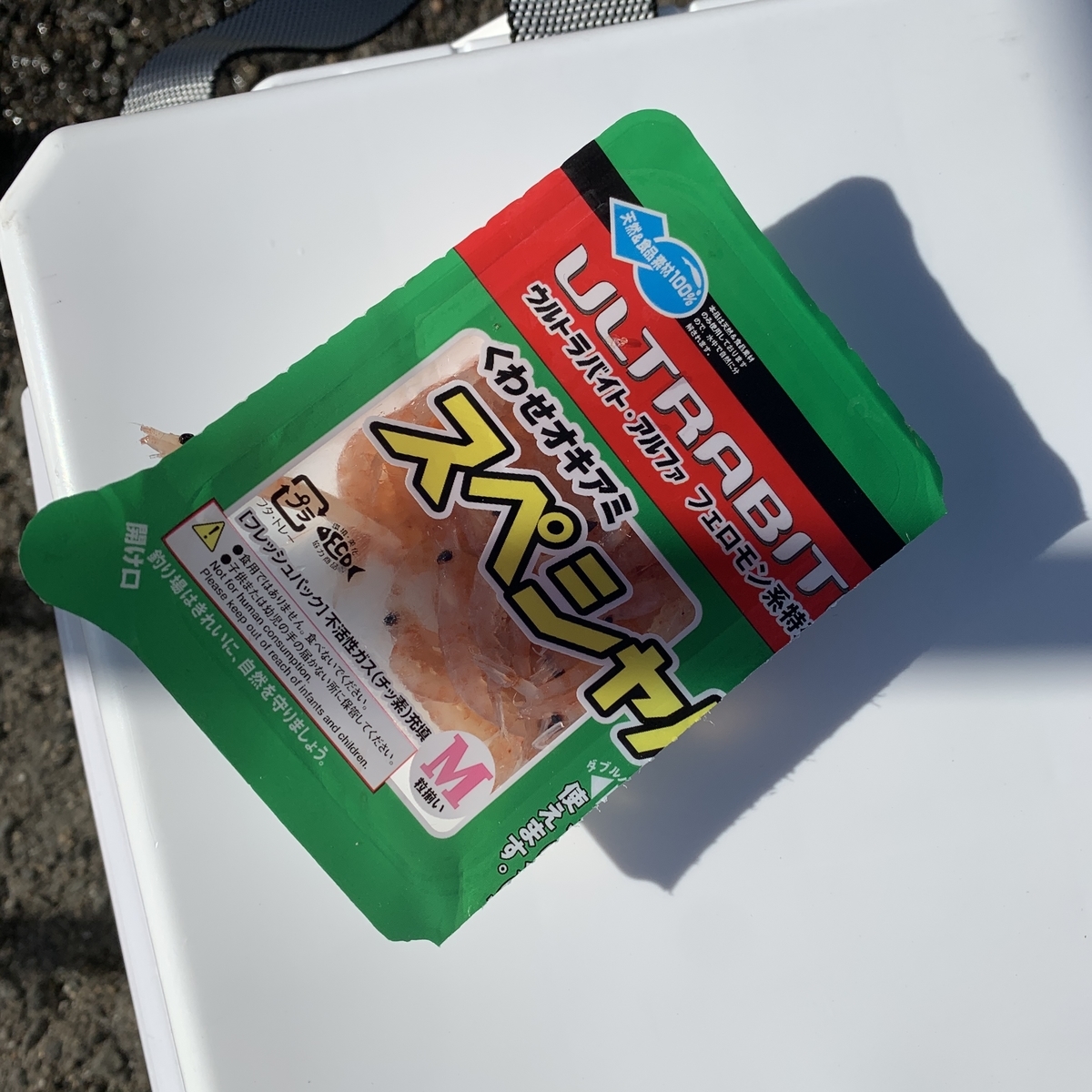 釣行ログ 大蔵海岸で冬の良型グレをゲット 猫とマグロのその日ぐらし