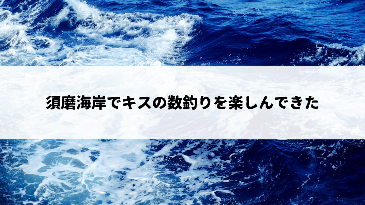 釣行ログ 須磨海岸でキスの数釣りを楽しんできた 猫とマグロのその日ぐらし