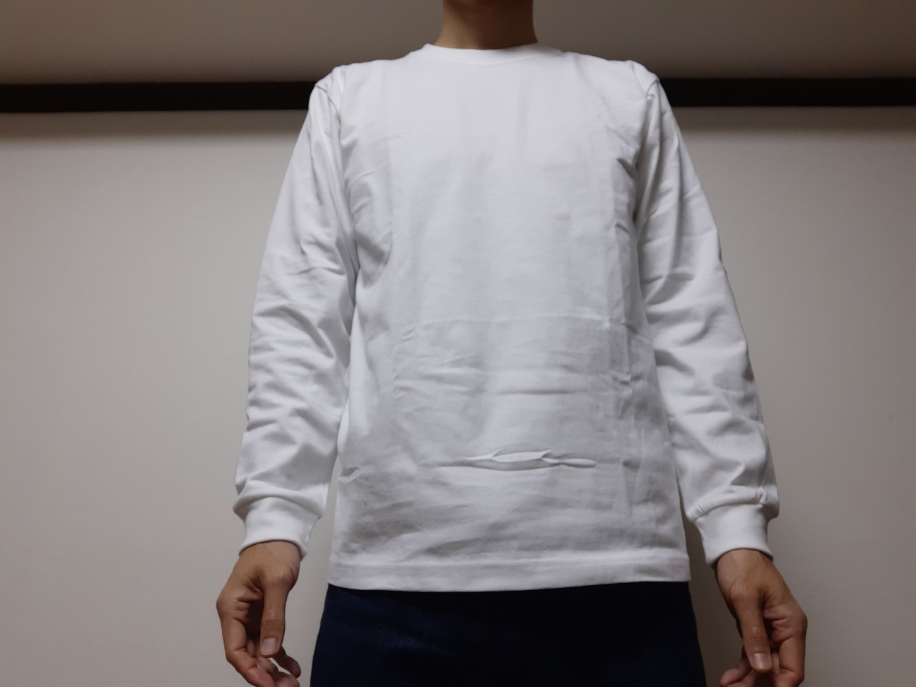 f:id:osukawa:20230122094934j:image f:id:osukawa:20230122094934j:image