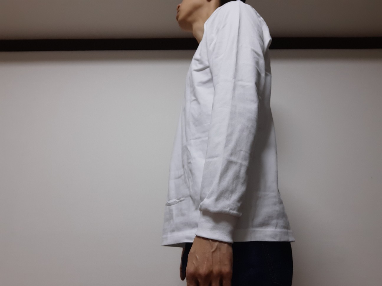 f:id:osukawa:20230122094946j:image f:id:osukawa:20230122094946j:image