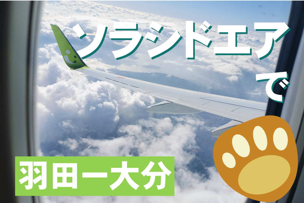 日向坂コラボ】ぽかぽか陽気のソラシド 羽田ー大分 - 旅する