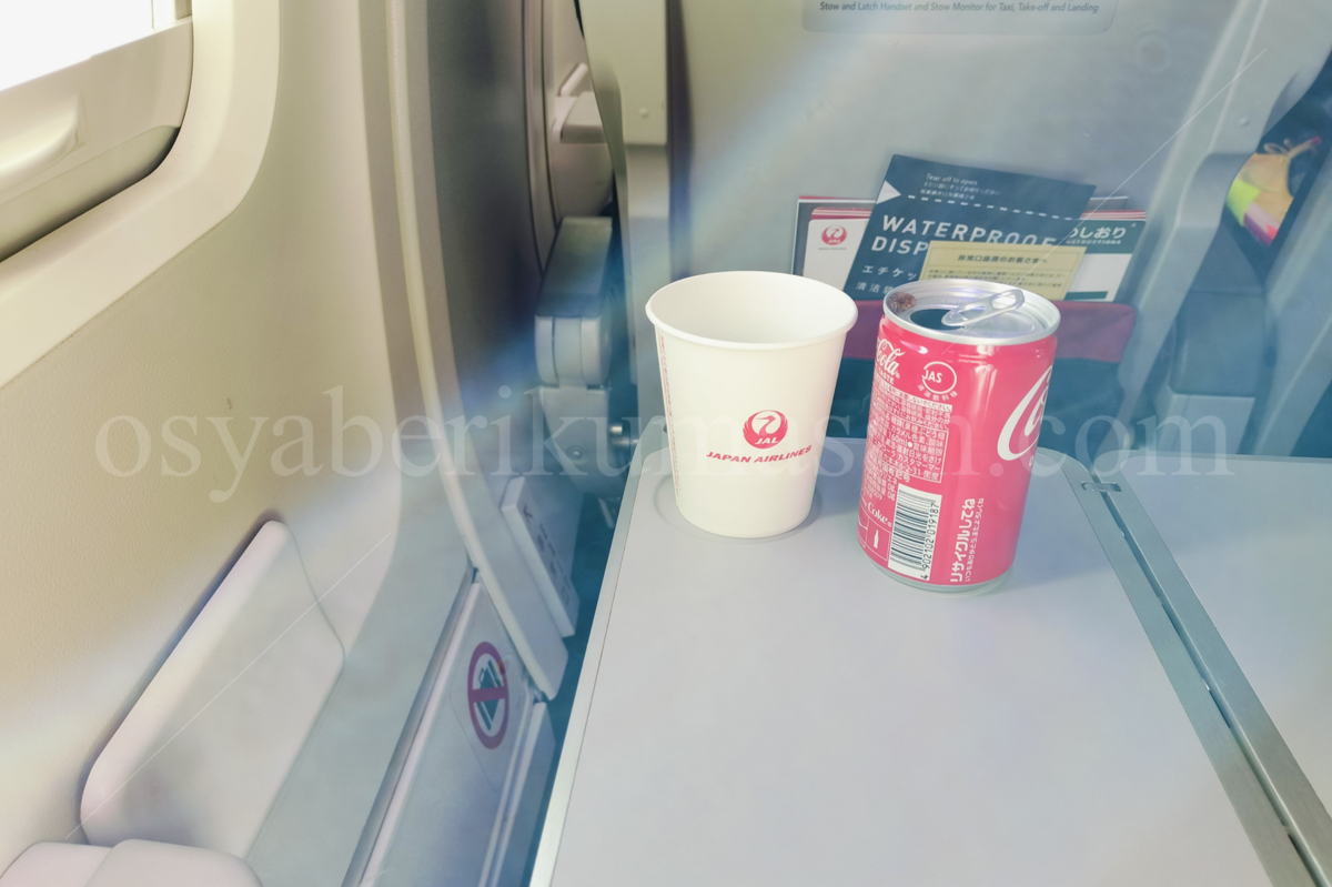 搭乗レポ】JAL737国際線仕様機の非常口座席 - 旅するおしゃべりくまさん