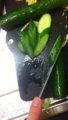 20120518222141